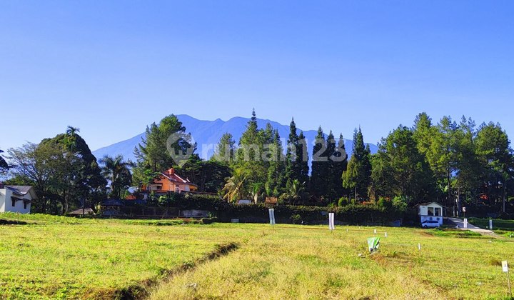 Jual tanah di puncak cisarua bogor cocok bangun villa & rumah 3
