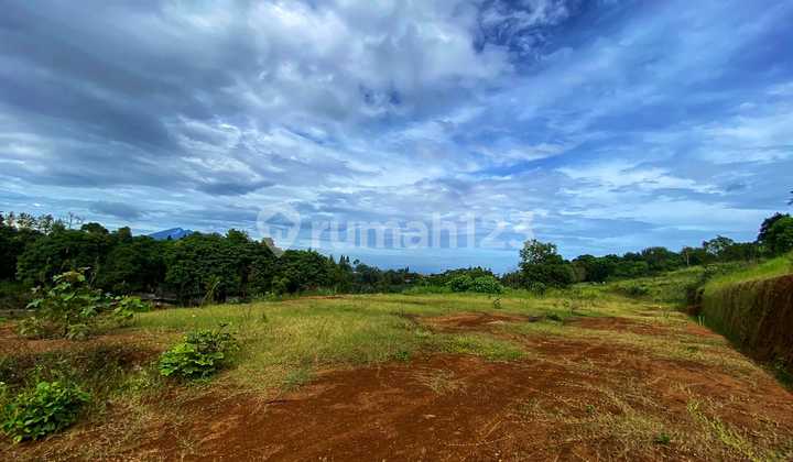 Jual Tanah Kavling villa Dipuncak Bogor cocok bangun villa