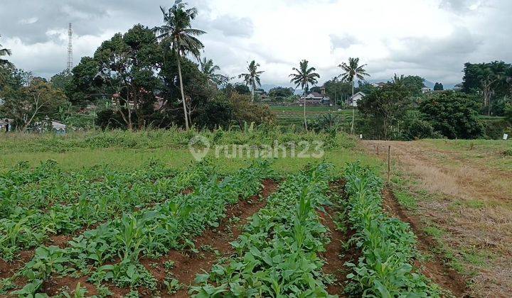 Jual tanah siap bangun di puncak cisarua bogor cocok bangun rumah 5