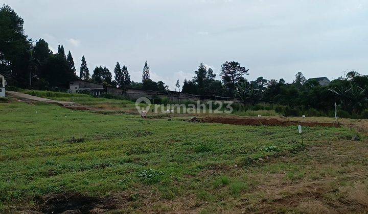 Jual tanah siap bangun di puncak cisarua bogor cocok bangun rumah 6