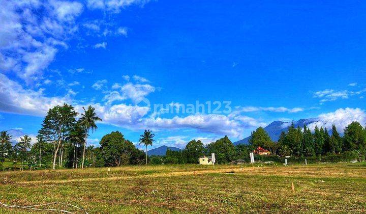 Tanah siap bangun di puncak cisarua bogor cocok bangun villa  1