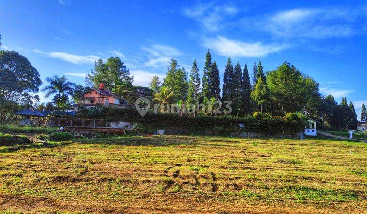 Jual tanah datar di puncak bogor cocok bangun villa dan rumah 1