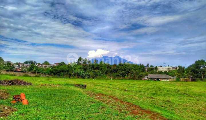 Jual tanah datar di megamendung bogor cocok bangun villa & Rumah Jual tanah datar di megamendung bogor cocok bangun villa & Rumah