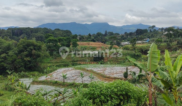 Jual Tanah Cocok Bangun Villa Di Lembah Berkontur Khas puncak