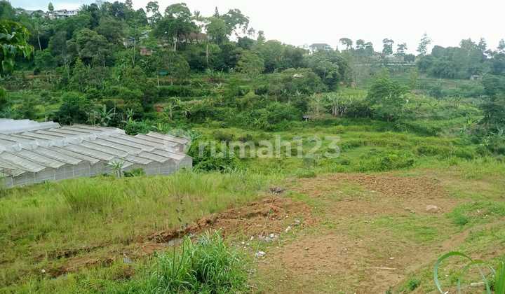 Tanah kavling siap bangun di komplek lembah kuta cisarua puncak