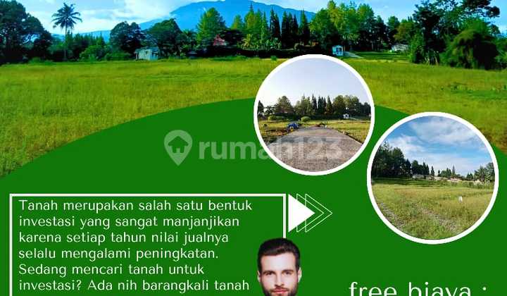 Jual tanah dicisarua Bogor dekat gayatree alternatif puncak Cisarua bogor Jual tanah dicisarua Bogor dekat gayatree alternatif puncak Cisarua bogor