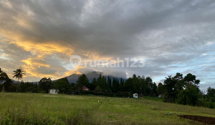 Tanah cocok untuk bangun rumah & villa di puncak Bogor dekat tol