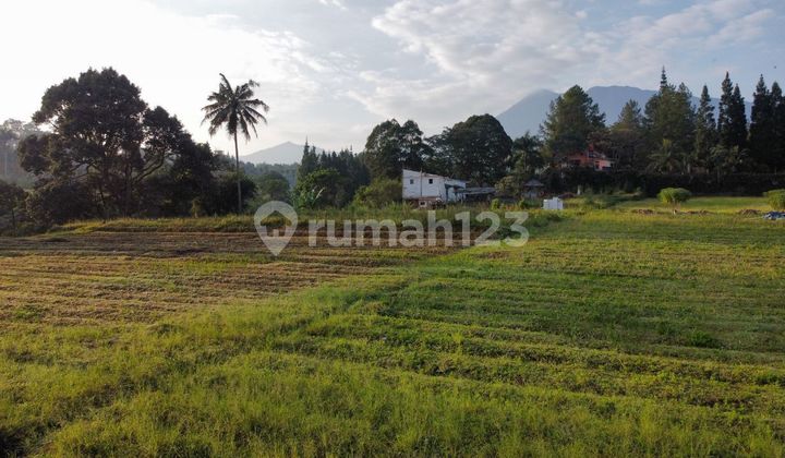 Jual tanah di Megamendung jalan alternatif menuju puncak Jual tanah di Megamendung jalan alternatif menuju puncak