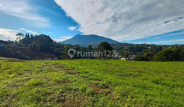 Jual tanah di Megamendung puncak Cisarua Bogor anti macet  1