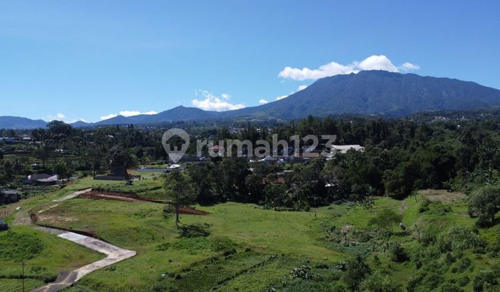 Jual tanah di kavling greend mountville puncak Bogor