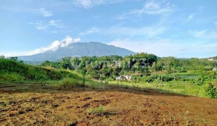 Jual tanah di Cisarua puncak bogor
