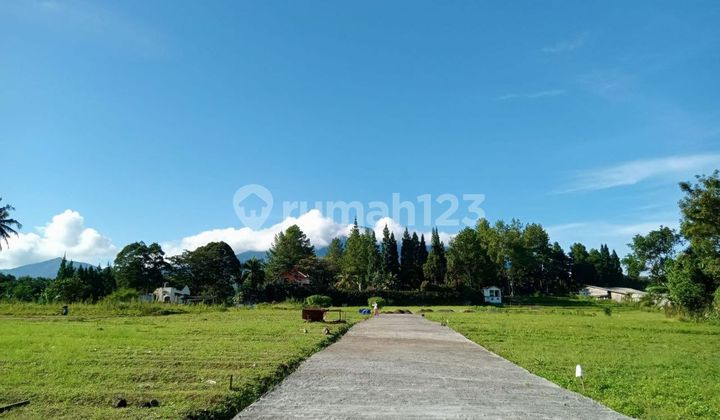 Tanah bagus di puncak Cisarua Bogor cocok bangun villa