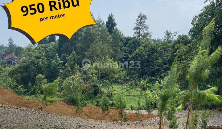 Tanah murah di puncak Cisarua Bogor cocok bangun villa 1