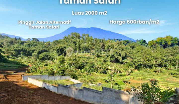 Jual Tanah Di Puncak Deket Taman Safari Puncak Bogor