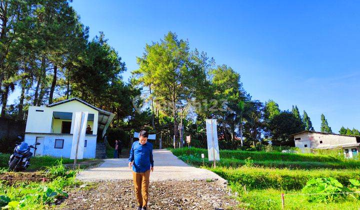 Forsale tanah kavling gadog puncak,siap bangun. 6