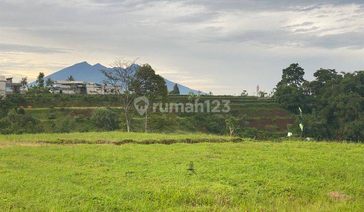 Forsale tanah kavling gadog puncak,siap bangun. 1