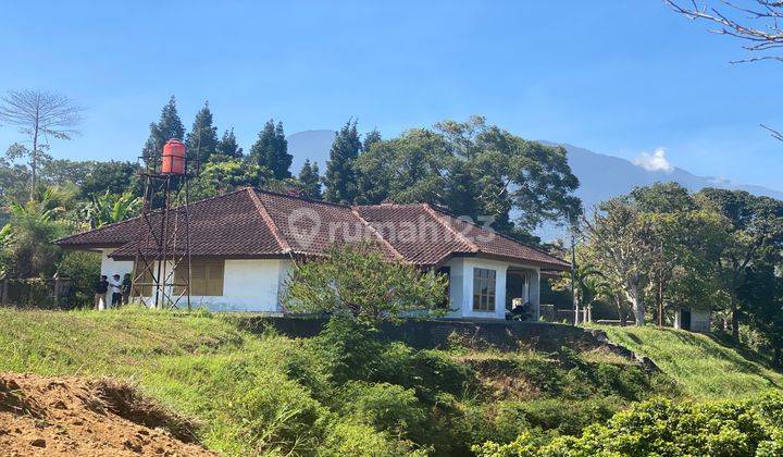 Villa Murah Shm Dan Imb Di Cisarua Puncak Bogor 2