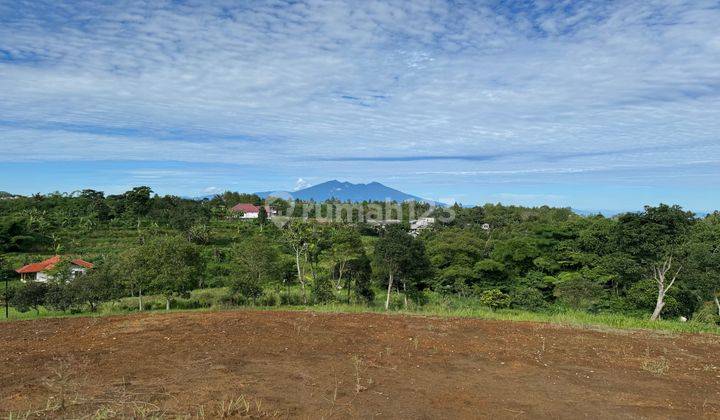 Tanah Shm Mountain View Dekat Tamansafari Puncak 2