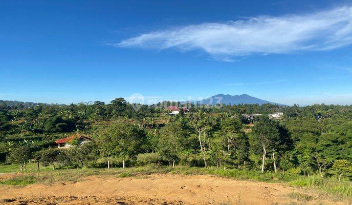 Tanah Shm Puncak Bogor Dekat Tamansafari Dingin Berkabut 2