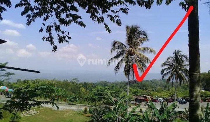 A85 Jual Tanah Wisata Lokasi Terbaik Murah di Gunung Kidul Yogyakarta 1