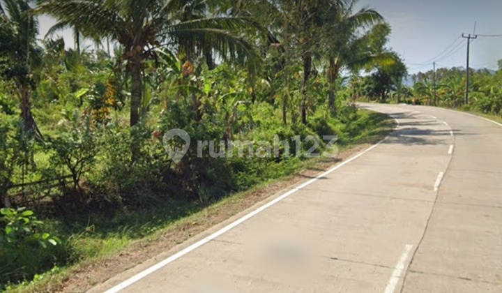 A18 Jual BU Tanah Wisata View Pantai Umang Murah di Pandeglang 1