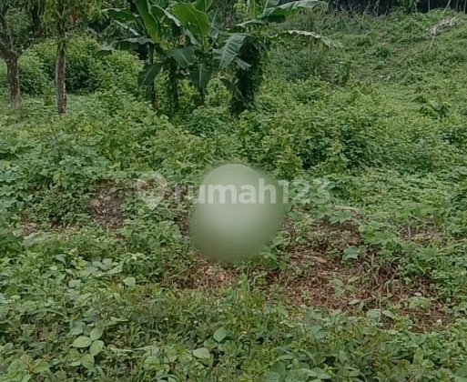 A18 Jual BU Tanah Wisata View Pantai Umang Murah di Pandeglang 2