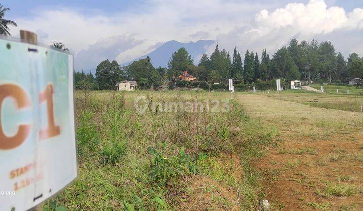 Dijual tanah kavling di puncak murah butuh uang  8