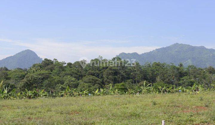 Jual tanah kavling bunus SHM di puncak 2 Bogor  3
