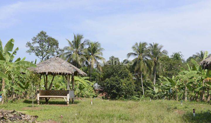 Jual tanah kavling bunus SHM di puncak 2 Bogor  6