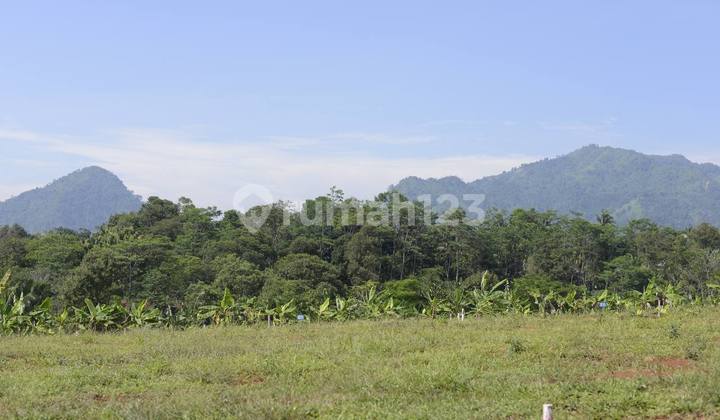 Jual tanah kavling SHM di puncak 2 Bogor  6