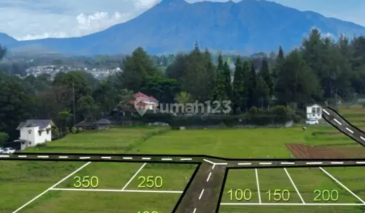 Tanah kavling di puncak anti macet 1000 m² sudah SHM 1