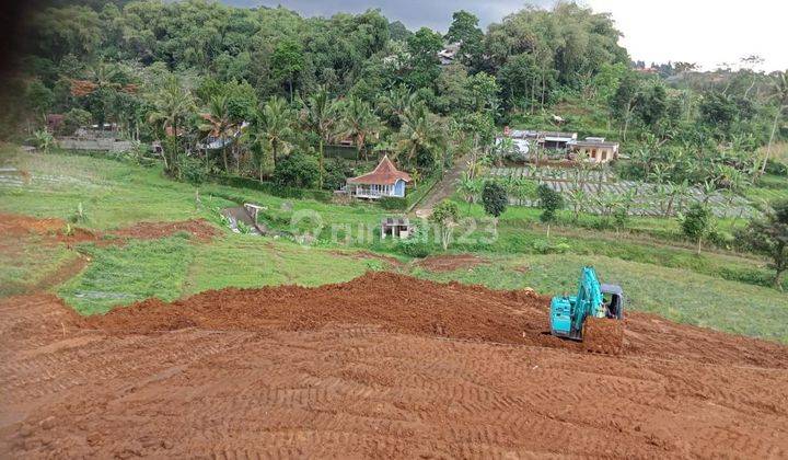 Tanah kavling SHM di puncak Bogor free SHM 6