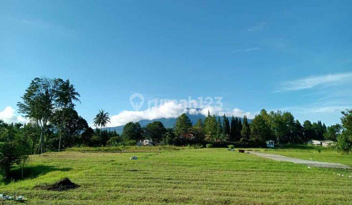 Tanah Kavling 1000 M² Shmdi Megamendung Puncak Bogor 1