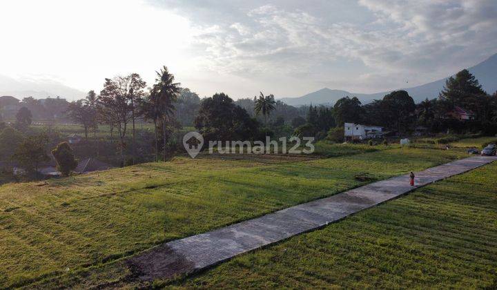 Kavling Area Wisata Puncak Bogor  SHM - Sertifikat Hak Milik 2