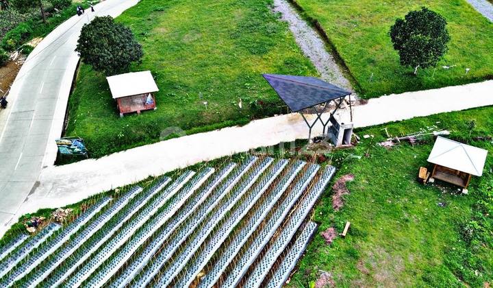 Tanah Kavling Murah, Shm, Diketinggian Seribu Mdpl