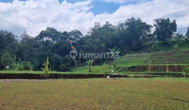 Tanah di Megamendung SHM - Sertifikat Hak Milik 1000 m² 1