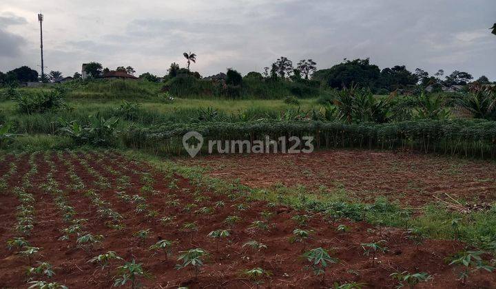 Tanah di Jalan Rukun, Curug Bojongsari, Depok SHM 3.200 m² 5