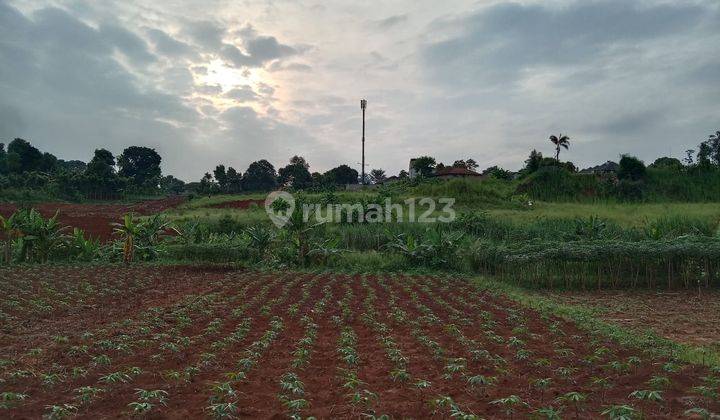 Tanah di Jalan Rukun, Curug Bojongsari, Depok SHM 3.200 m² 8