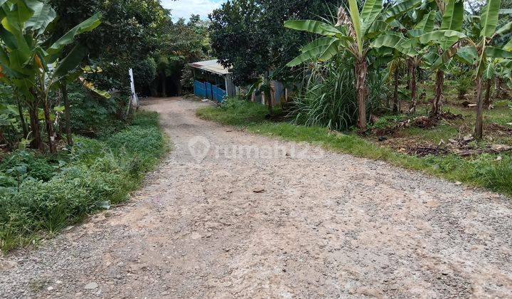 Tanah di Jalan Rukun, Curug Bojongsari, Depok SHM 3.200 m² 10