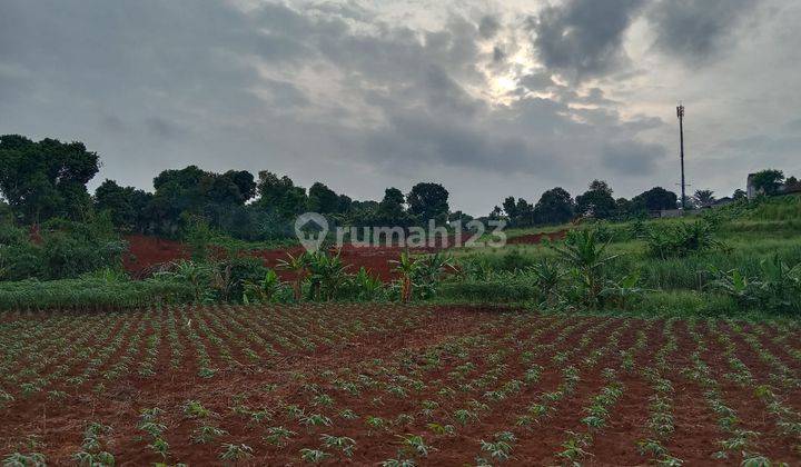 Tanah di Jalan Lestari Curug, Depok SHM 3.200 m² 3