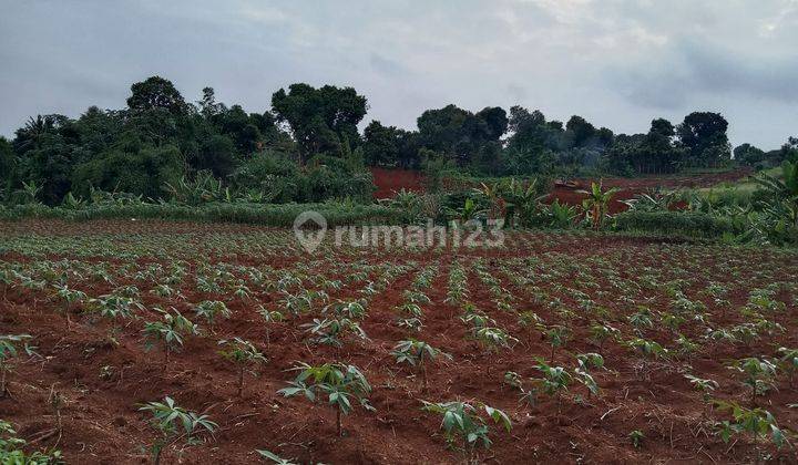 Tanah di Jalan Lestari Curug, Depok SHM 3.200 m² 5