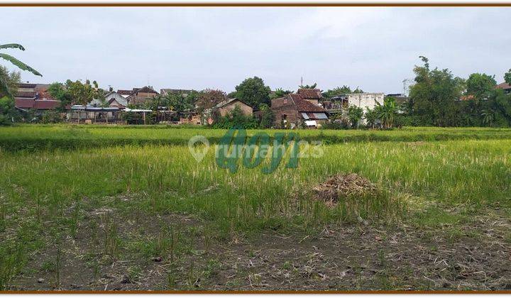 Tanah Sawah di Jogja Dijual Area Mergangsan 4