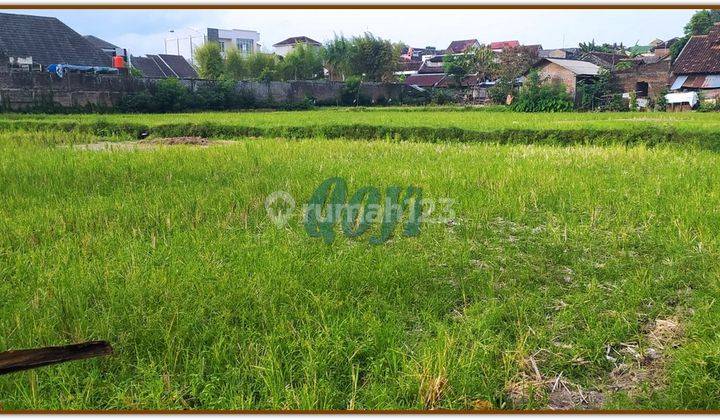 Tanah Sawah di Jogja Dijual Area Mergangsan 5