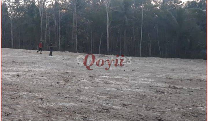 Tanah 90an Juta di Manisrenggo Klaten Sertifikat SHM 6