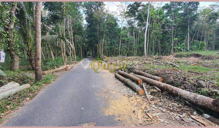 Tanah Murah Manisrenggo Klaten, 90an Juta, SHM P 1