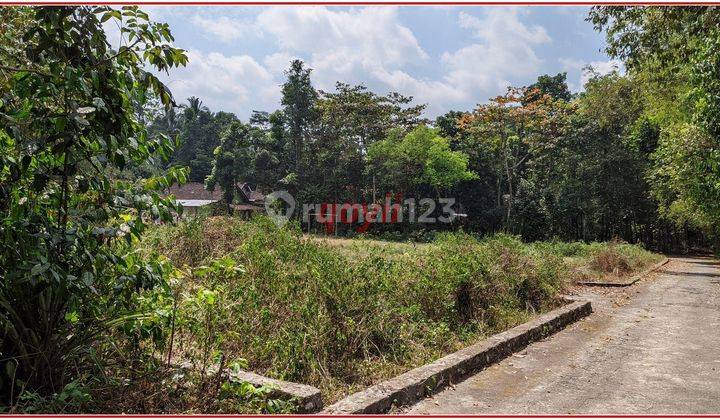 Tanah Murah Manisrenggo Harga Miring Dekat Exit Tol Klaten 4