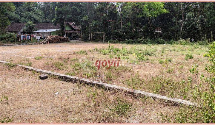 Tanah Murah Manisrenggo Harga Miring Dekat Exit Tol Klaten 5