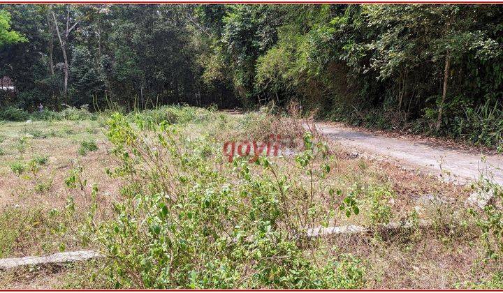 Tanah Murah Manisrenggo Harga Miring Dekat Exit Tol Klaten 6