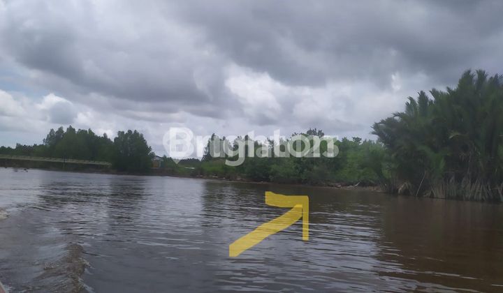 TANAH LAHAN 1.9 Ha DI PINGGIR SUNGAI KAPUAS LUPAK DALAM KALIMANTAN TENGAH 1