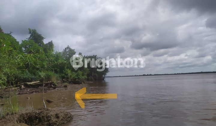 TANAH LAHAN 1.9 Ha DI PINGGIR SUNGAI KAPUAS LUPAK DALAM KALIMANTAN TENGAH 2